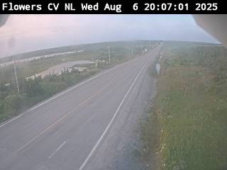 Webcam at FLOWERS COVE