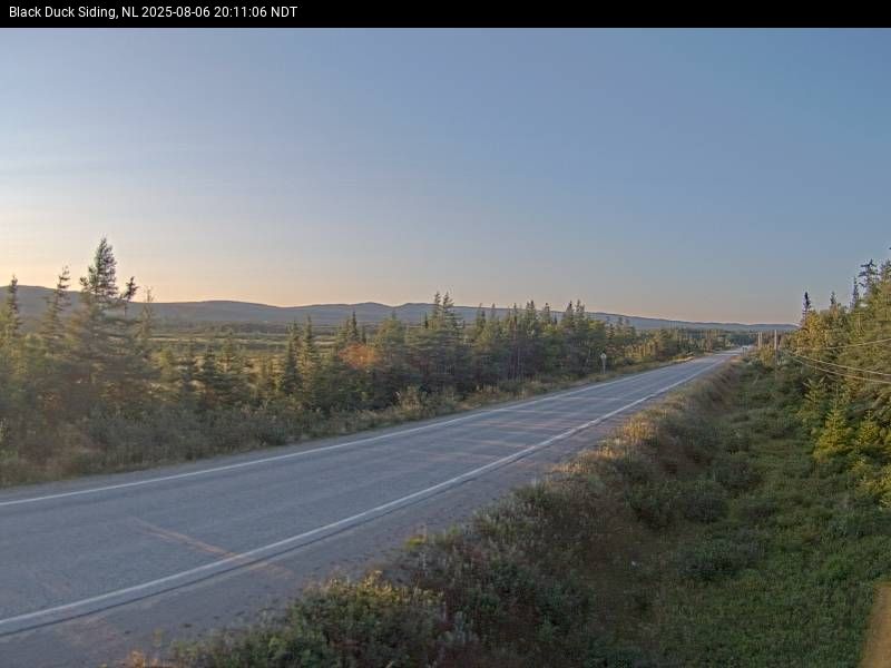 Webcam at BLACK DUCK SIDING