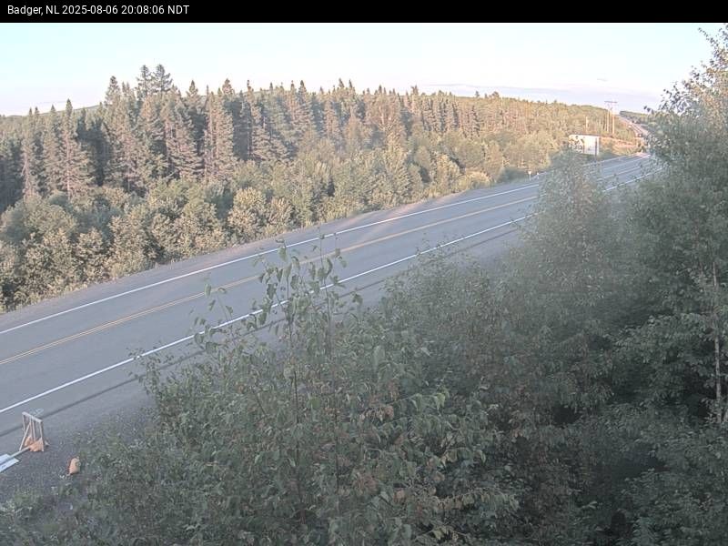 Webcam at BADGER