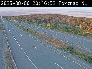 Webcam at FOXTRAP