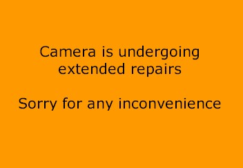 Webcam at GRAND FALLS-WINDSOR