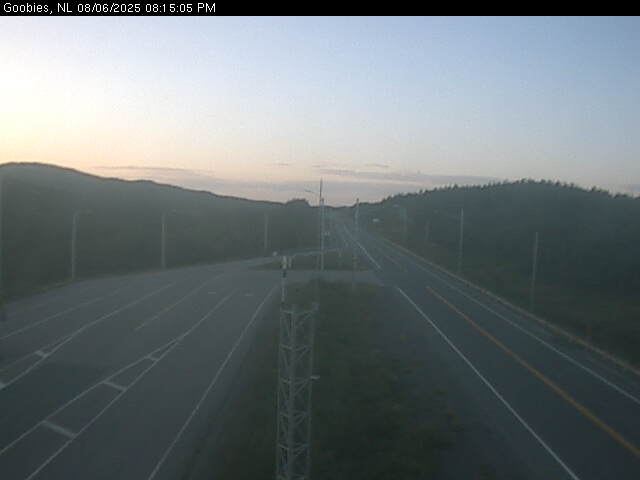 Webcam at GOOBIES